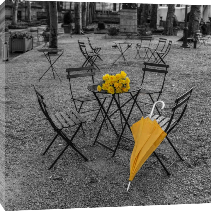 Assaf Frank - Bunch of roses and umbrella on table and chair at the park, New York
