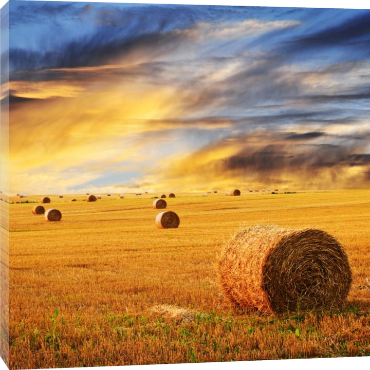 Farming - End of a tough Day