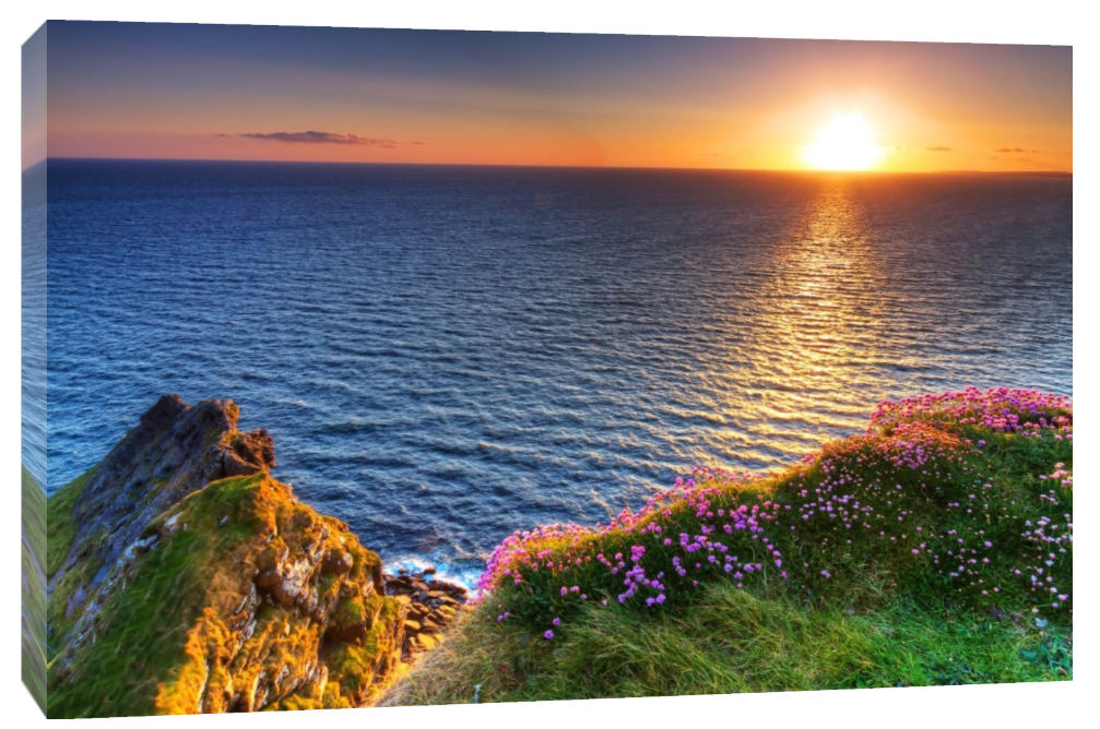 Alan Tully - Purple Flowers at Dawn