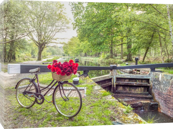 Assaf Frank - Bicycle avec un tas de roses blanches par le canal