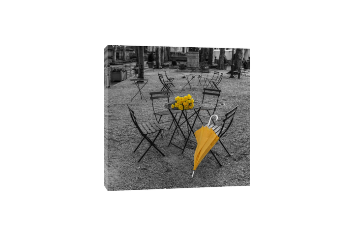 Assaf Frank - Bunch of roses and umbrella on table and chair at the park, New York