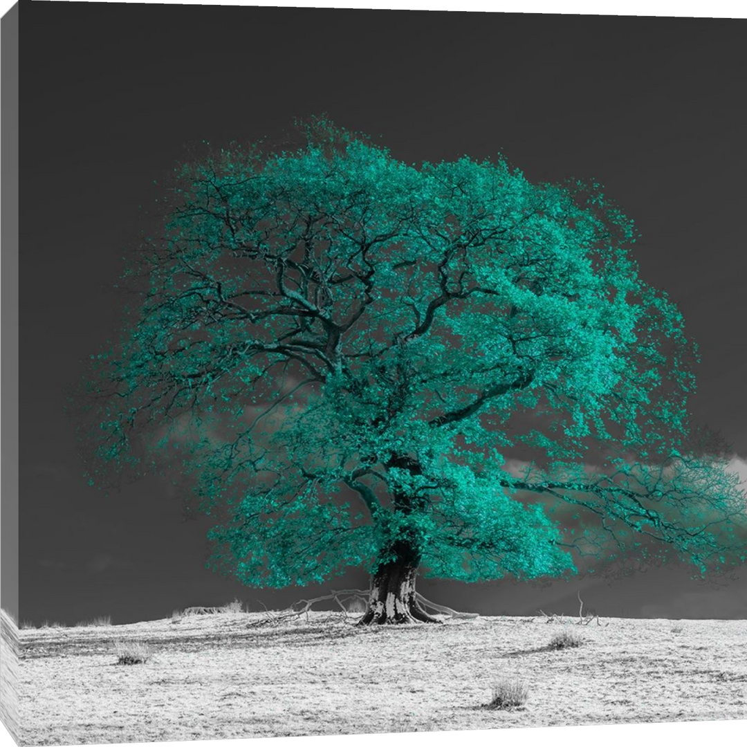 Assaf Frank - Tree on a hill-teal