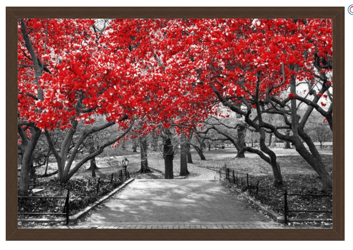 Bernardino Milano - Forest Path - That Walk At The Park