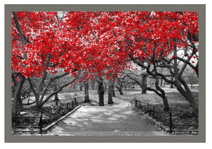 Bernardino Milano - Forest Path - That Walk At The Park