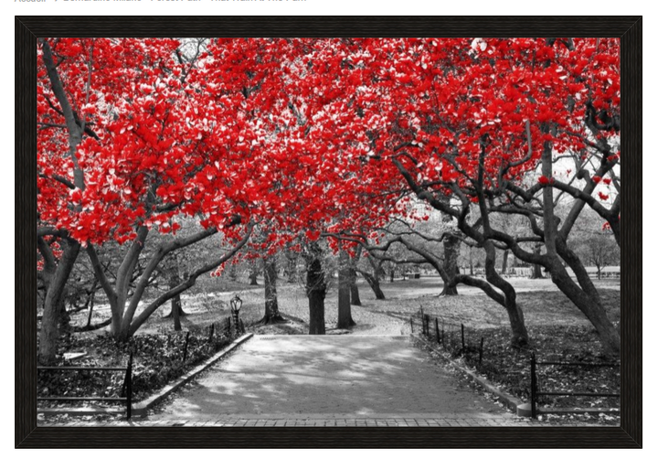 Bernardino Milano - Forest Path - That Walk At The Park