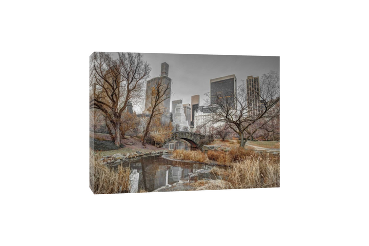 Assaf Frank - Central park and Manhattan skyline, New York