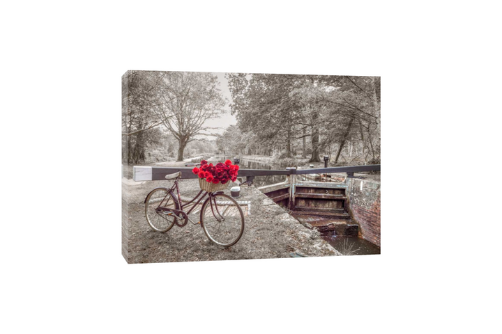 Assaf Frank - Bicycle avec un tas de roses blanches par le canal noire et blanc