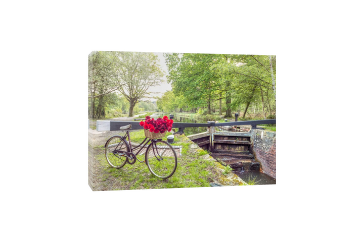 Assaf Frank - Bicycle avec un tas de roses blanches par le canal