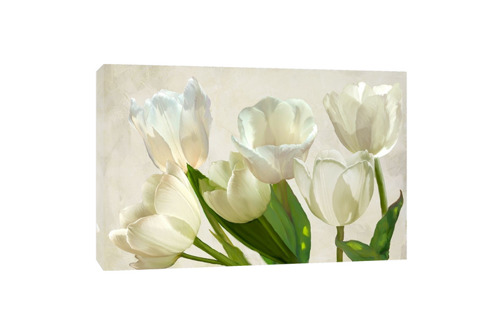 Luca Villa - Tulipes blanches
