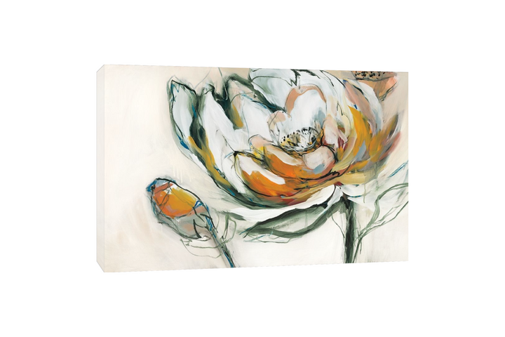 A. Fitzsimmons - Bloomed IV