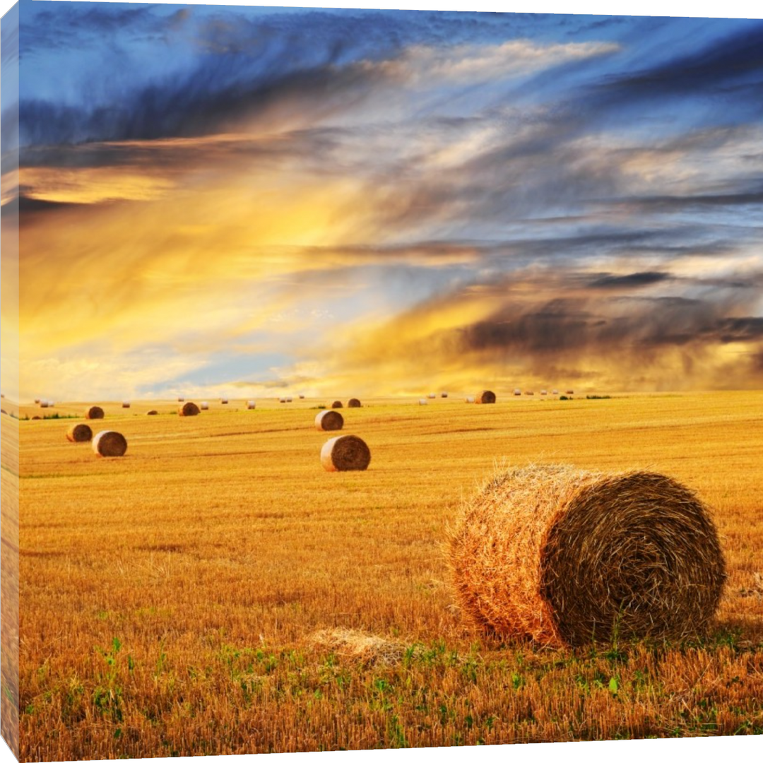 Farming - End of a tough Day