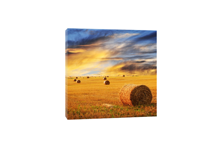 Farming - End of a tough Day