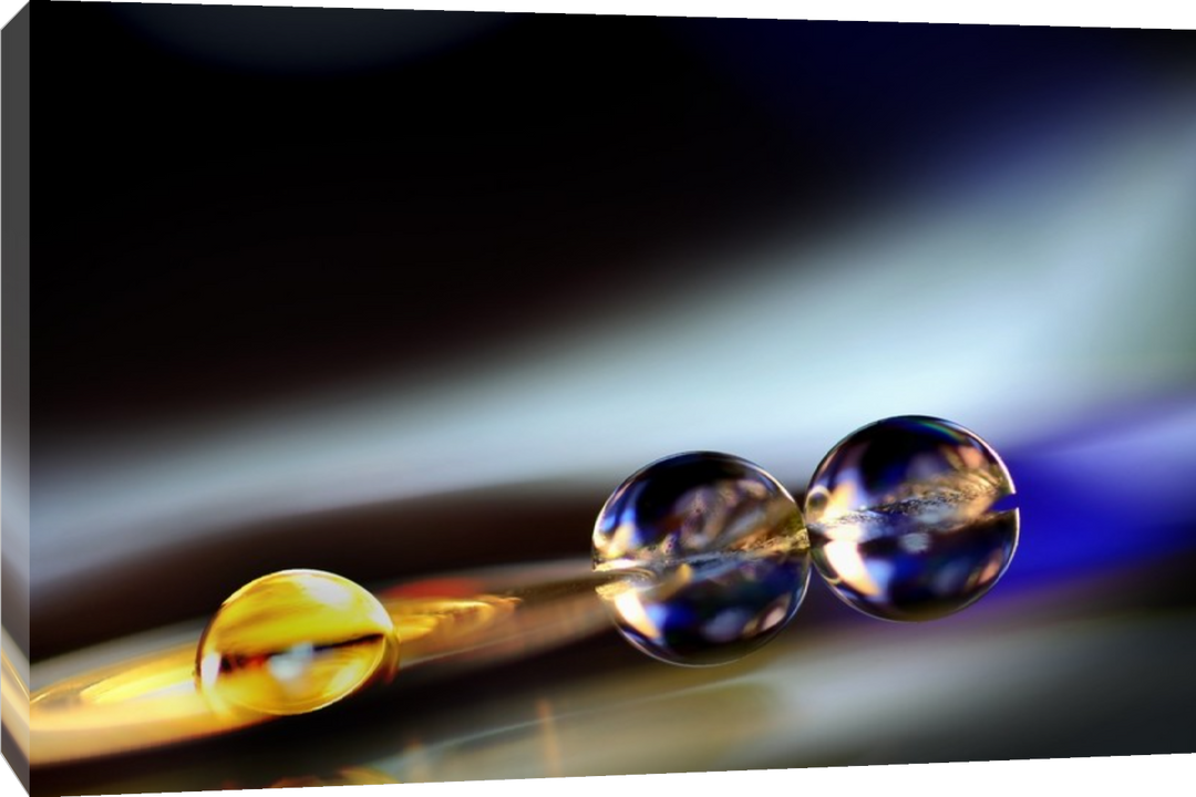 Scott Linas - Gold and Blue Bubble, Black Background